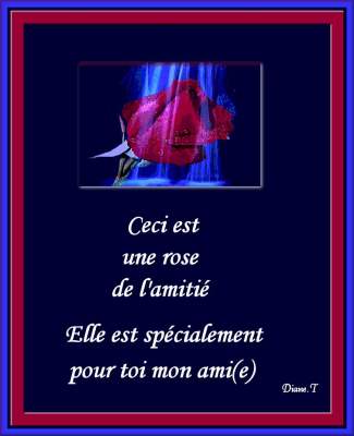 ceci est une rose de l'amitié elle est specialement pour mon ami(e)